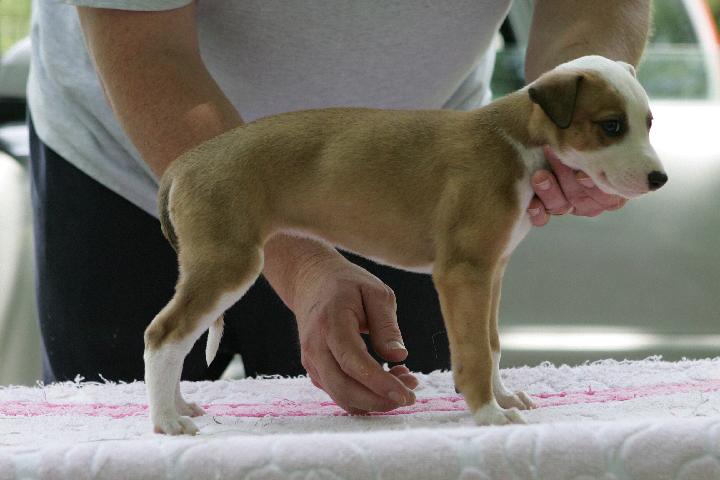 100_4885 OK....if you insist